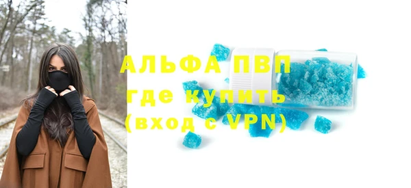 spice Богданович