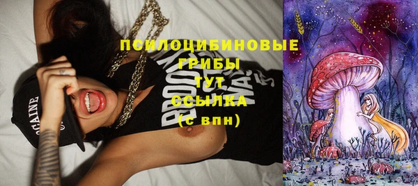 spice Богданович
