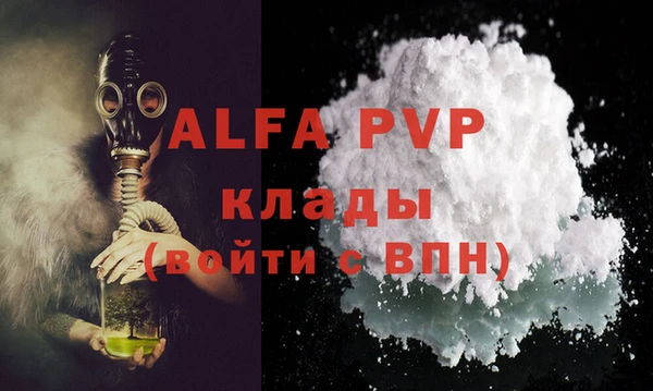 PSILOCYBIN Богородицк