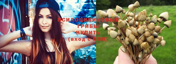 spice Богданович