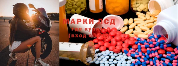 PSILOCYBIN Богородицк