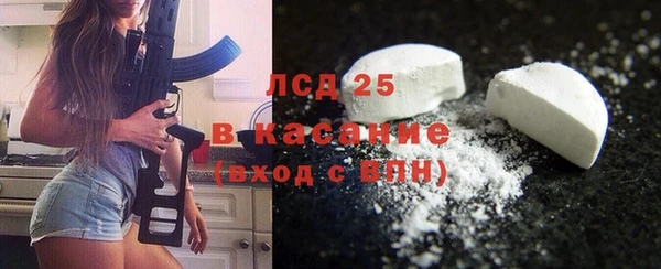 spice Богданович
