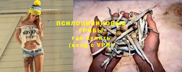 spice Богданович