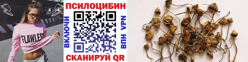 Псилоцибиновые грибы Psilocybe  ссылка на мегу вход  Энем 